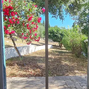  Hébergement de vacances Domaine De La Navicelle - Syrah France